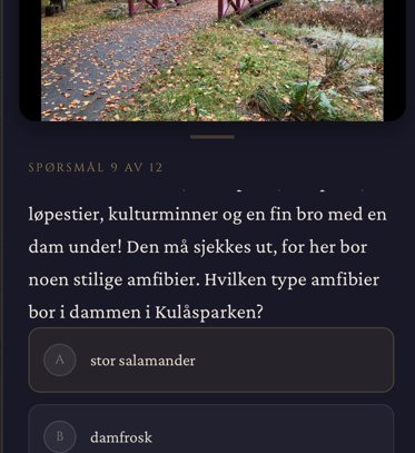 Spørsmål i Byspillet — svar på historiske oppgaver